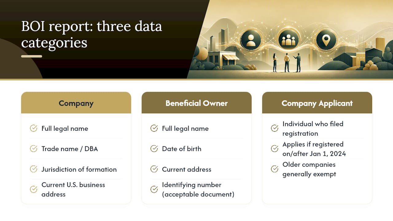 Three BOI report information categories